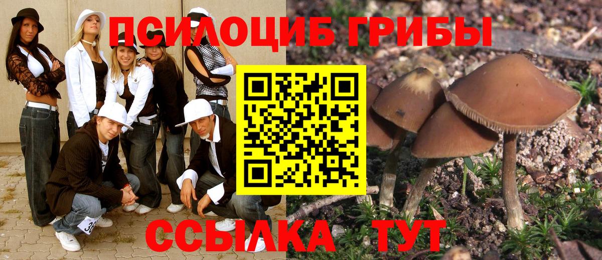 Спасск-Дальний  Галлюциногенные грибы ЛСД  Галлюциногенные грибы MAGIC MUSHROOMS  наркошоп  Вход с VPN 