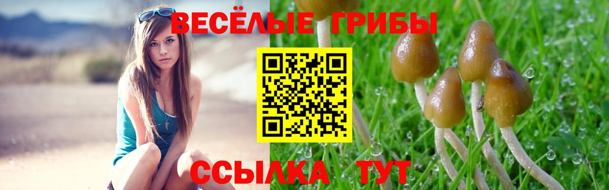 Галлюциногенные грибы ЛСД Спасск-Дальний